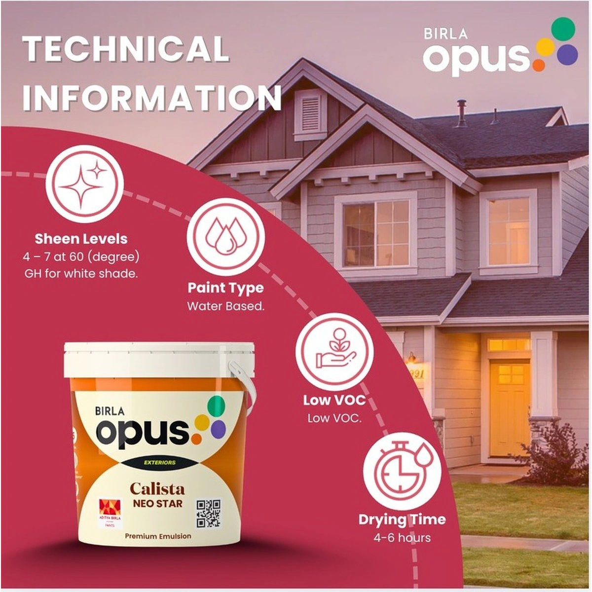 Birla Opus case study